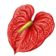 flower 3